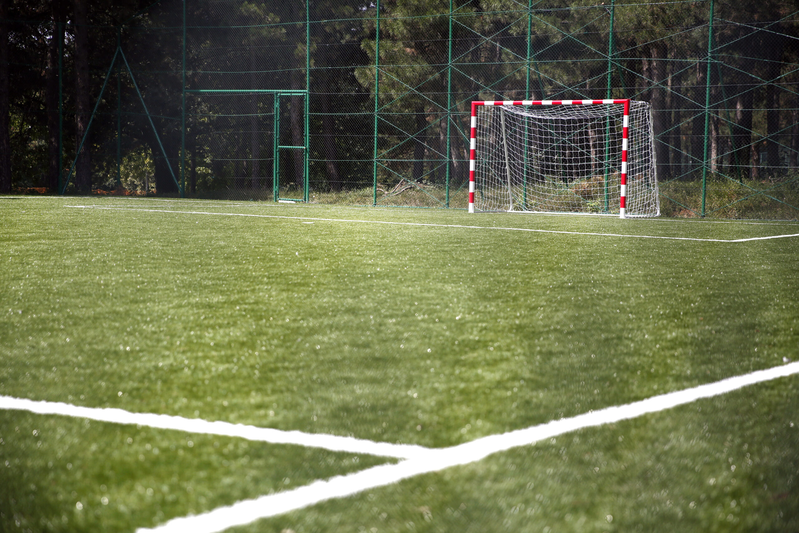 Sanacija sportskih terena Zavoda za sport Košutnjak