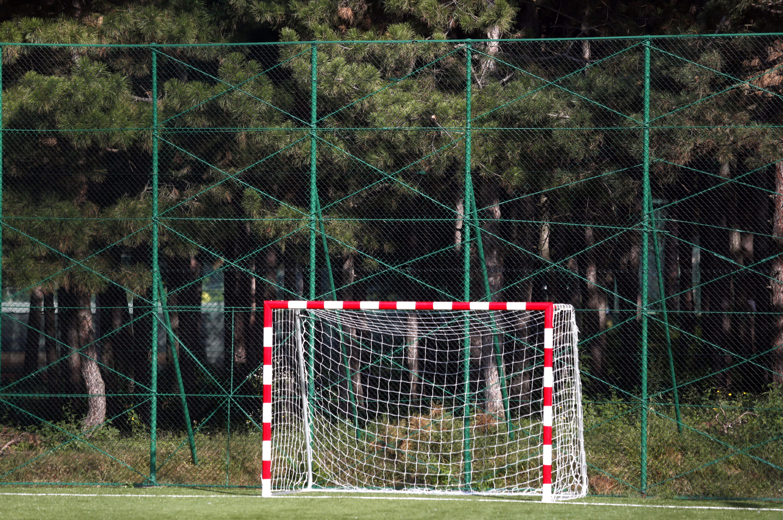Sanacija sportskih terena Zavoda za sport Košutnjak 10